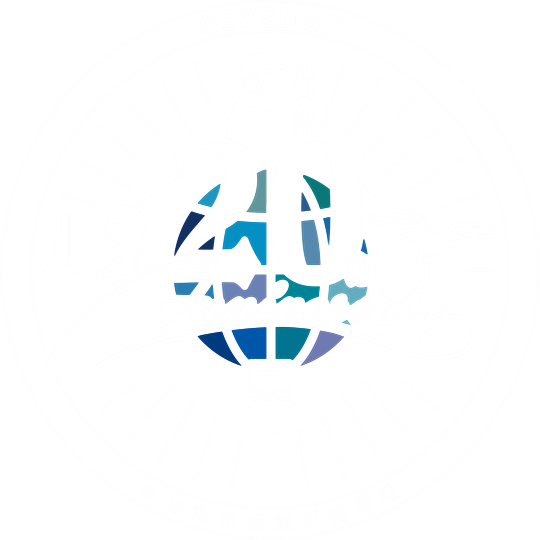 20期記念ロゴ